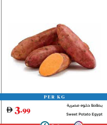 Sweet Potato from Egypt available at تروليز سوبرماركت in الإمارات العربية المتحدة , الامارات - الشارقة / عجمان