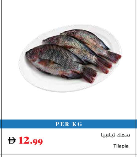 available at تروليز سوبرماركت in الإمارات العربية المتحدة , الامارات - الشارقة / عجمان