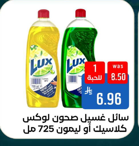 available at شبرا الطائف in مملكة العربية السعودية, السعودية, سعودية - الطائف