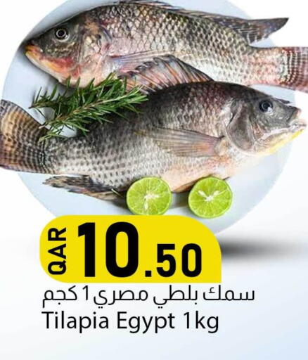available at دانا ماركت in قطر - الريان