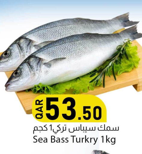 available at دانا ماركت in قطر - الريان