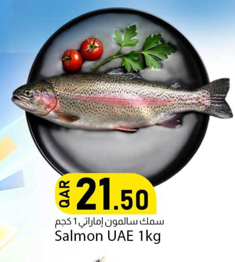 available at دانا ماركت in قطر - الريان