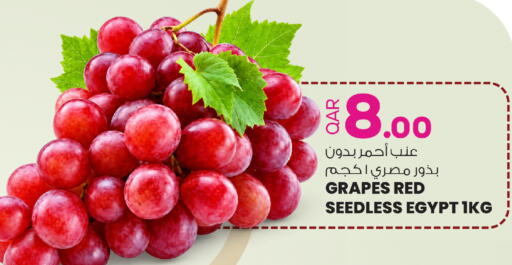 available at أنصار جاليري in قطر - الشمال