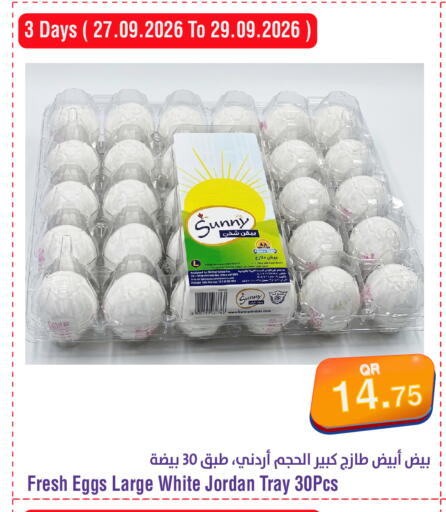 available at Megamart in Qatar - Doha