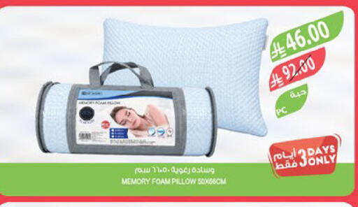 available at المزرعة in مملكة العربية السعودية, السعودية, سعودية - تبوك