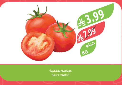 Tomato available at Farm  in KSA, Saudi Arabia, Saudi - Jeddah