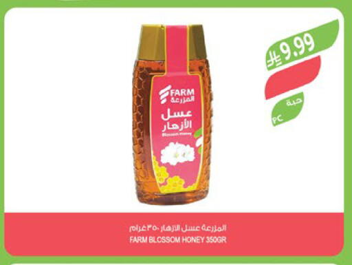available at Farm  in KSA, Saudi Arabia, Saudi - Al-Kharj