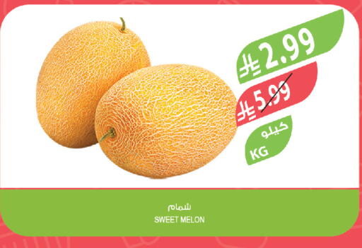 Melon available at Farm  in KSA, Saudi Arabia, Saudi - Jeddah
