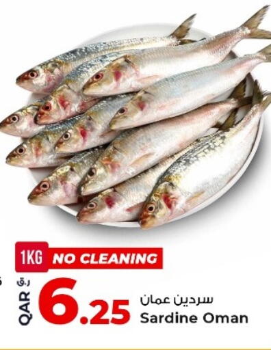 available at روابي هايبرماركت in قطر - أم صلال