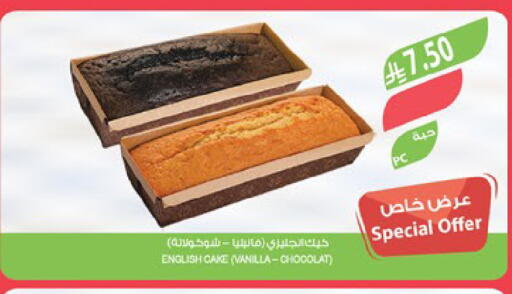 Vanilla available at Farm  in KSA, Saudi Arabia, Saudi - Tabuk