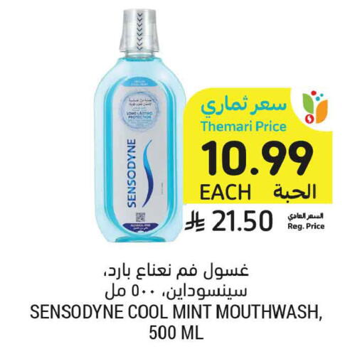 Mint available at Tamimi Market in KSA, Saudi Arabia, Saudi - Tabuk