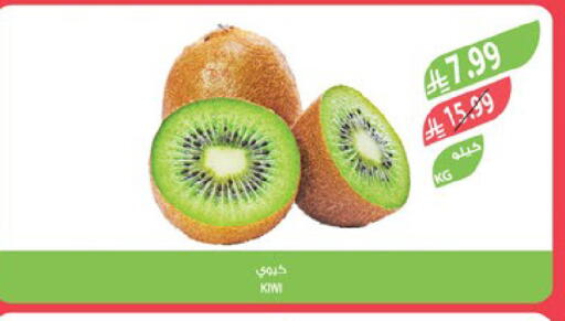 Kiwi available at Farm  in KSA, Saudi Arabia, Saudi - Al-Kharj