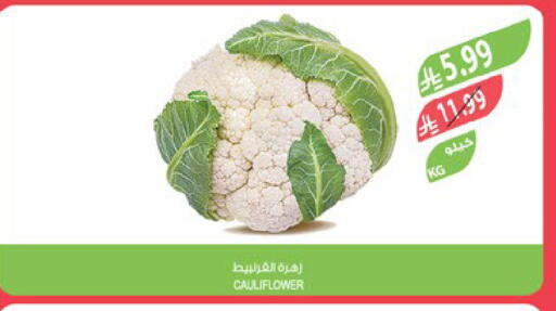 Cauliflower available at Farm  in KSA, Saudi Arabia, Saudi - Al-Kharj