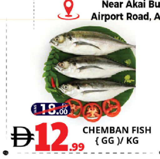 available at اكسبرس المدينة هايبرماركت in الإمارات العربية المتحدة , الامارات - أبو ظبي