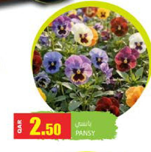 available at Grand Hypermarket in Qatar - Doha