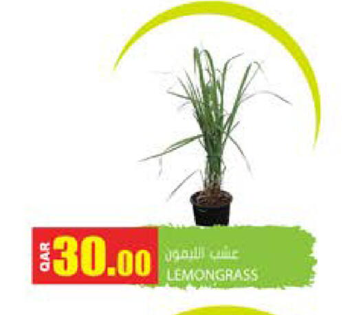 Lemongrass available at Grand Hypermarket in Qatar - Doha
