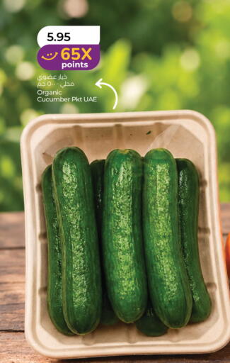 Cucumber available at لولو هايبرماركت in الإمارات العربية المتحدة , الامارات - رَأْس ٱلْخَيْمَة