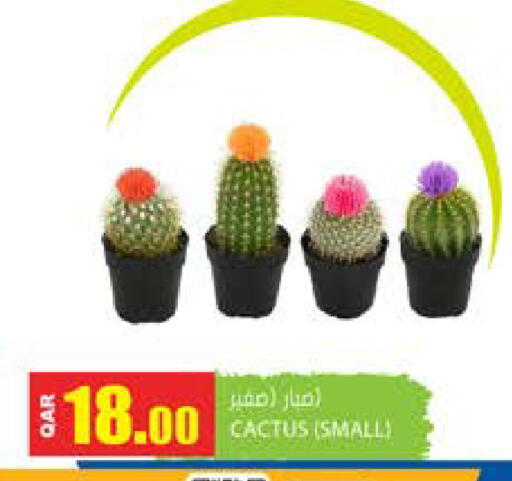 available at Grand Hypermarket in Qatar - Doha