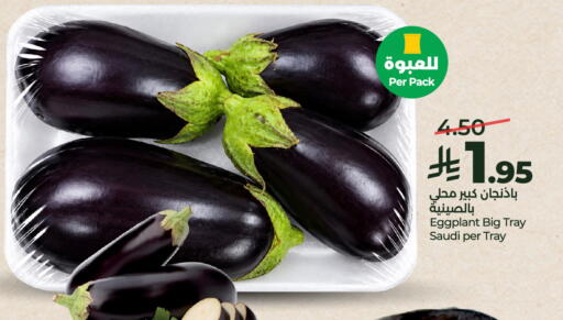 Eggplant from Saudi Arabia available at لولو هايبرماركت in مملكة العربية السعودية, السعودية, سعودية - عنيزة