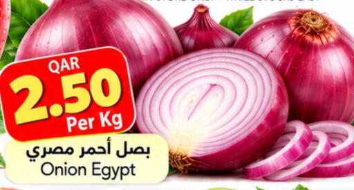 Onion from Egypt available at Gulf Food Center in Qatar - Doha