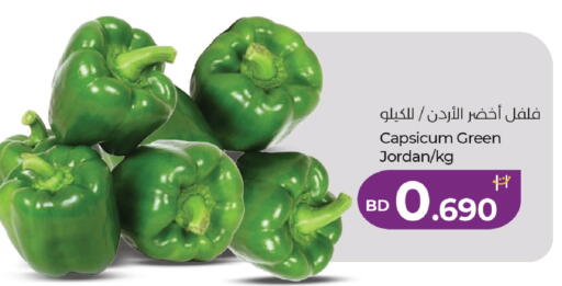 Capsicum from Jordan available at لولو هايبر ماركت in البحرين