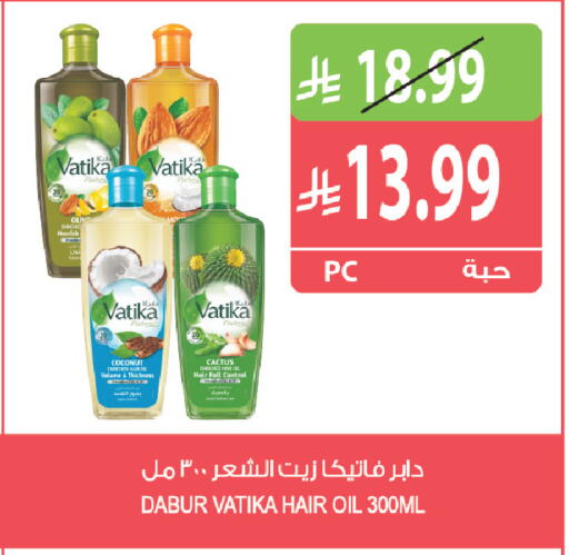 Coconut available at المزرعة in مملكة العربية السعودية, السعودية, سعودية - ينبع