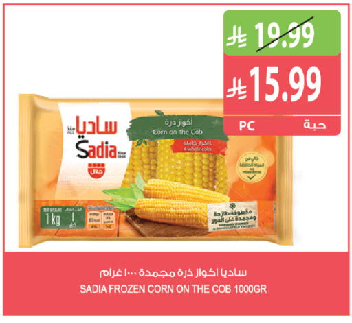 available at المزرعة in مملكة العربية السعودية, السعودية, سعودية - أبها