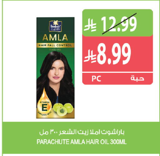 available at المزرعة in مملكة العربية السعودية, السعودية, سعودية - ينبع