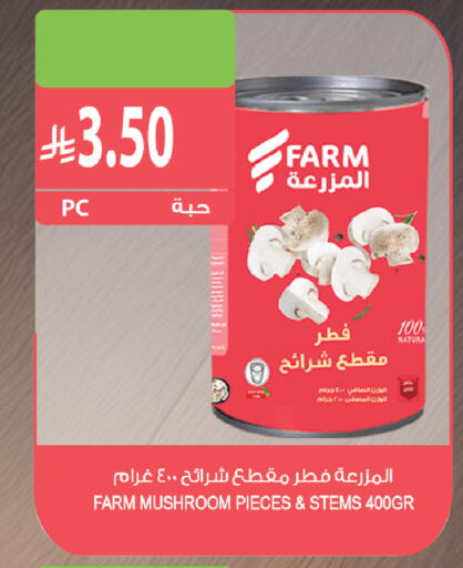 Mushroom available at المزرعة in مملكة العربية السعودية, السعودية, سعودية - ينبع