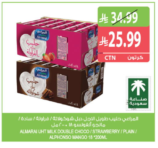 Strawberry Mango available at المزرعة in مملكة العربية السعودية, السعودية, سعودية - تبوك