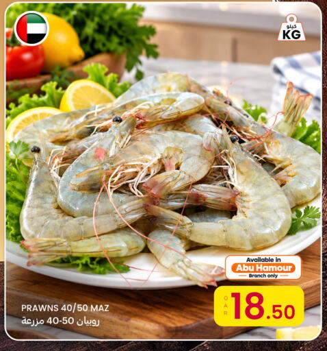 available at Al Baladi Al Yawm in Qatar - Al Wakra