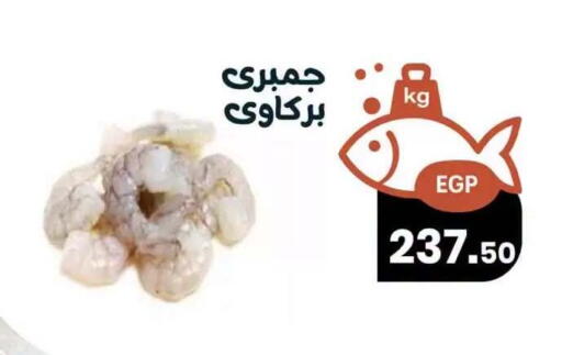 available at Arafa  in Egypt - Cairo