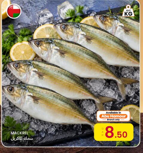 available at Al Baladi Al Yawm in Qatar - Doha
