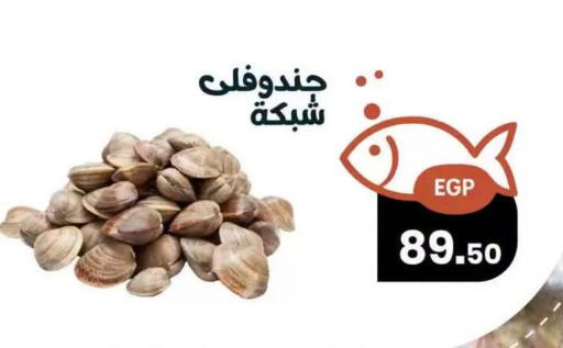 available at Arafa  in Egypt - Cairo