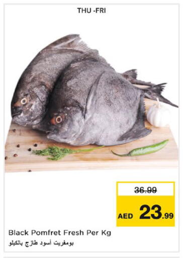 available at نستو هايبرماركت in الإمارات العربية المتحدة , الامارات - ٱلْعَيْن‎