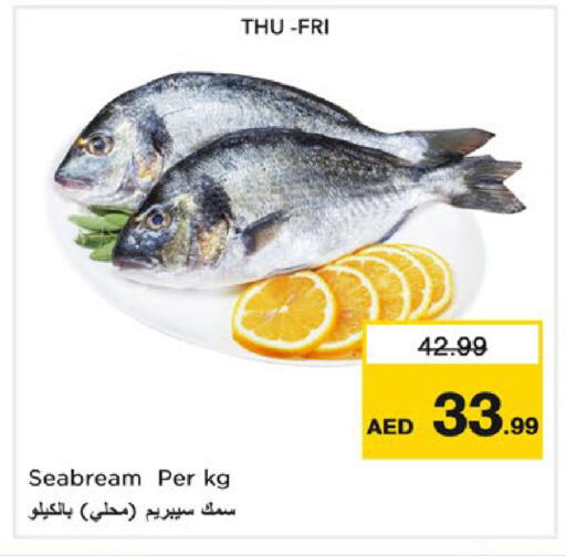 available at نستو هايبرماركت in الإمارات العربية المتحدة , الامارات - ٱلْعَيْن‎