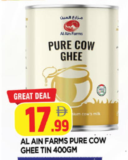available at المدينة in الإمارات العربية المتحدة , الامارات - الشارقة / عجمان