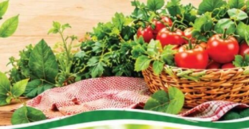 available at المدينة in الإمارات العربية المتحدة , الامارات - الشارقة / عجمان