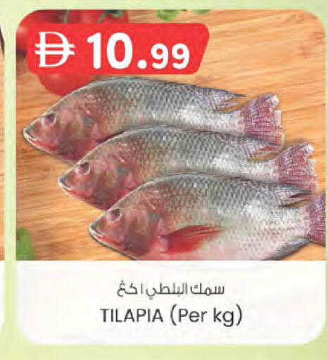 available at الصفا in الإمارات العربية المتحدة , الامارات - ٱلْعَيْن‎