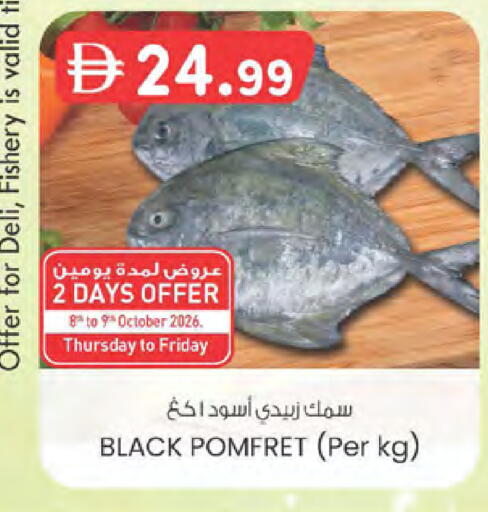 available at الصفا in الإمارات العربية المتحدة , الامارات - ٱلْعَيْن‎