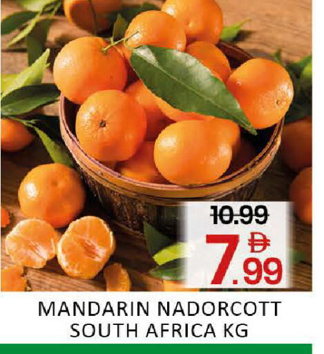 Mango available at Mango Hypermarket LLC in UAE - Dubai