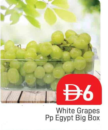 available at المدينة in الإمارات العربية المتحدة , الامارات - دبي