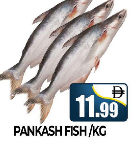 available at المدينة in الإمارات العربية المتحدة , الامارات - دبي