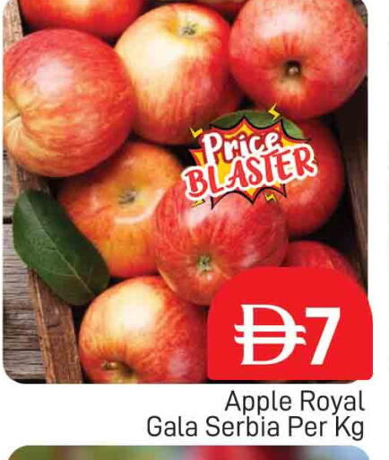 available at المدينة in الإمارات العربية المتحدة , الامارات - دبي