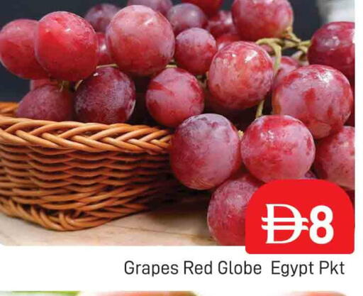 available at المدينة in الإمارات العربية المتحدة , الامارات - دبي