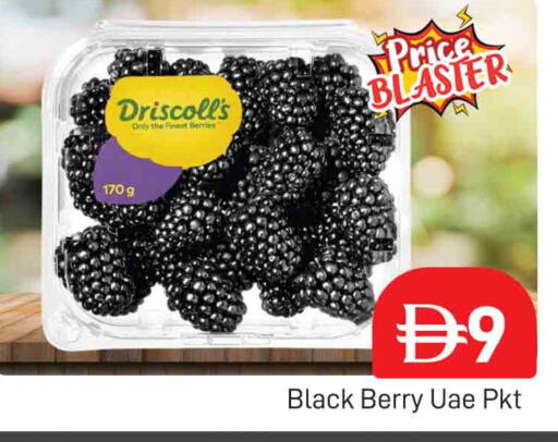 available at المدينة in الإمارات العربية المتحدة , الامارات - دبي
