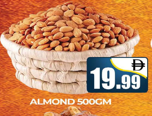 available at المدينة in الإمارات العربية المتحدة , الامارات - دبي
