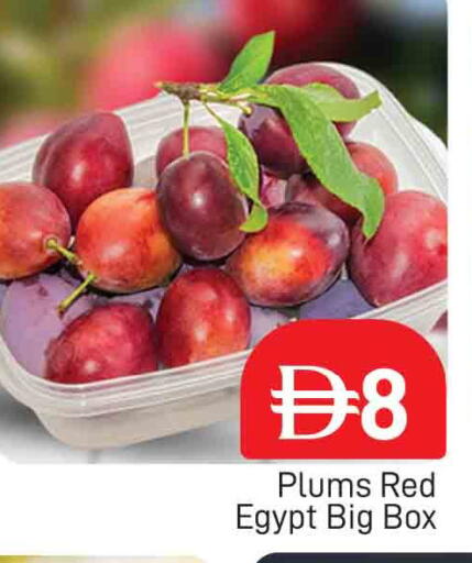available at المدينة in الإمارات العربية المتحدة , الامارات - دبي