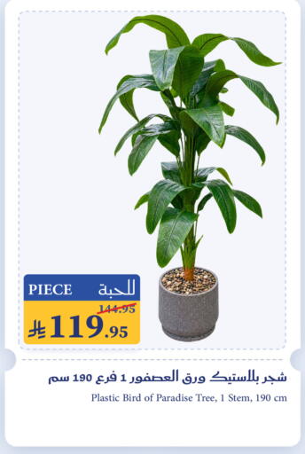available at ميرا مارت مول in مملكة العربية السعودية, السعودية, سعودية - جدة