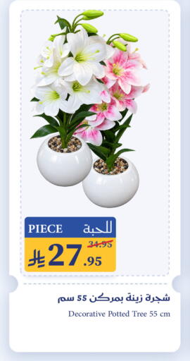 available at ميرا مارت مول in مملكة العربية السعودية, السعودية, سعودية - جدة
